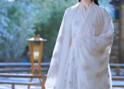 Ancient Charm of Hanfu:The Ethereal Essence of Traditional Chinese Clothing