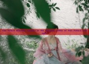 The Peach Blossom Speaks in the Original Hanfu of Han Palace Changer