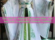 The Girl in Hanfu:A Ten-Year-Olds Journey into Traditional Chinese Fashion