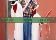 Plus-Size Hanfu New Years Celebration Costumes:Embracing Traditional Elegance