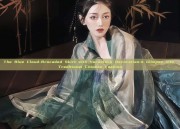 The Blue Cloud-Brocaded Skirt with Horseface Decoration:A Glimpse into Traditional Chinese Fashion