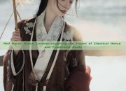 Red Horse Dance Costume:Exploring the Fusion of Classical Dance and Traditional Hanfu