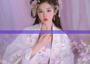 Cat Girl Paradise:The Cheongsams Enchantment