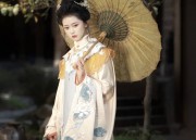 Traditional Chinese Style Cheongsam Blouse for Summer Women