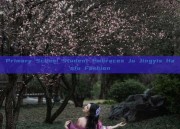 Primary School Student Embraces Ju Jingyis Hanfu Fashion
