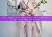 The Perfect Accessory for Your Cheongsam:Styling Your Bags with Qipaos