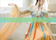 Adult Womens Hanfu Fashion:A Glimpse into the Fairy-like World of Chinese Traditional Elegance