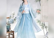 The Splendid Splendor of Zhaos Hanfu with the Delicate Little Flower Branch