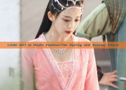 Little Girl in Hanfu Fashion:The Spring and Autumn Charm