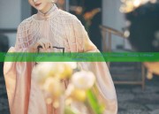 Ancient Hanfu Fashion:The Allure of Traditional Chinese Costume Among College Students