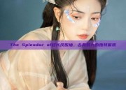 The Splendor of超长汉服袖，古典魅力的独特展现