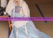 The Dawn of the Horseface Skirt:A Blend of Tradition and Modernity in Chinese Fashion