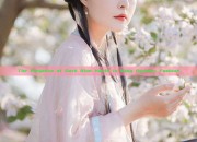 The Elegance of Dark Blue Hanfu in Ming Dynasty Fashion