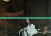 Summer in Ancient Hanfu Fashion:The Scholar-Beauty in Traditional Chinese Attire