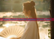 Elegant Immortal Cranes:The Originality of Hanfu Fashion