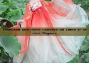 Traditional Girls Hanfu Costumes:The Charm of Ancient Elegance