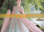 The Headdress of Hanfu in the Meiji Era:A Cultural Exploration