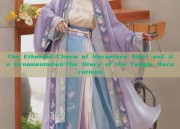 The Ethereal Charm of Horseface Skirt and its Ornamentation:The Story of the Yangle Decorations