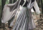 Winter-Style Cheongsam:The Long Version