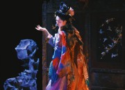 Traditional Chinese Womens Hanfu Costume:An Insight into an Adult Full-Set