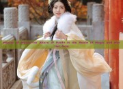 Master of Moxie:The Allure of Hanfu in the Realm of Magic and Martial Arts