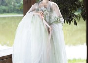 The Charm of Hanfu Chest-Length Dress:A Journey into Traditional Elegance