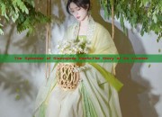 The Splendor of Sleeveless Hanfu:The Story of Da Xiushan