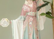 The Splendor of Hanfu:A Journey Through the Cultural Tapestry of Wei and Jin Han Clothing