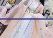 Modernizing the Traditional:The Evolution of Cheongsam-Inspired Hanfu Dress into a Stylish改良版连衣裙