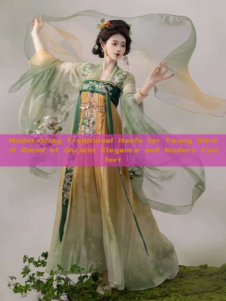 Modernizing Traditional Hanfu for Young Girls:A Blend of Ancient Elegance and Modern Comfort