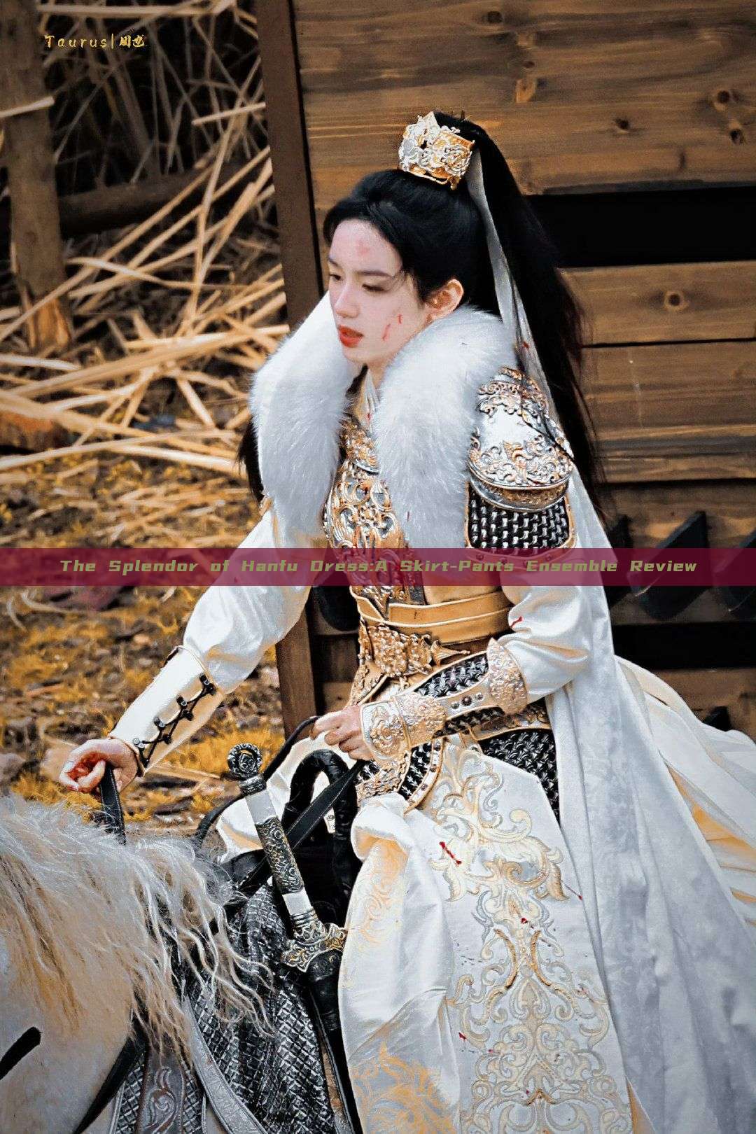 The Splendor of Hanfu Dress:A Skirt-Pants Ensemble Review The Splendor of Hanfu Dress:A Skirt-Pants Ensemble Review