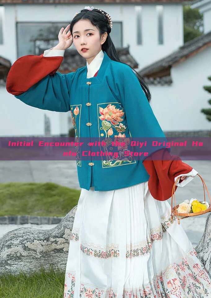 Initial Encounter with the Qiyi Original Hanfu Clothing Store Initial Encounter with the Qiyi Original Hanfu Clothing Store