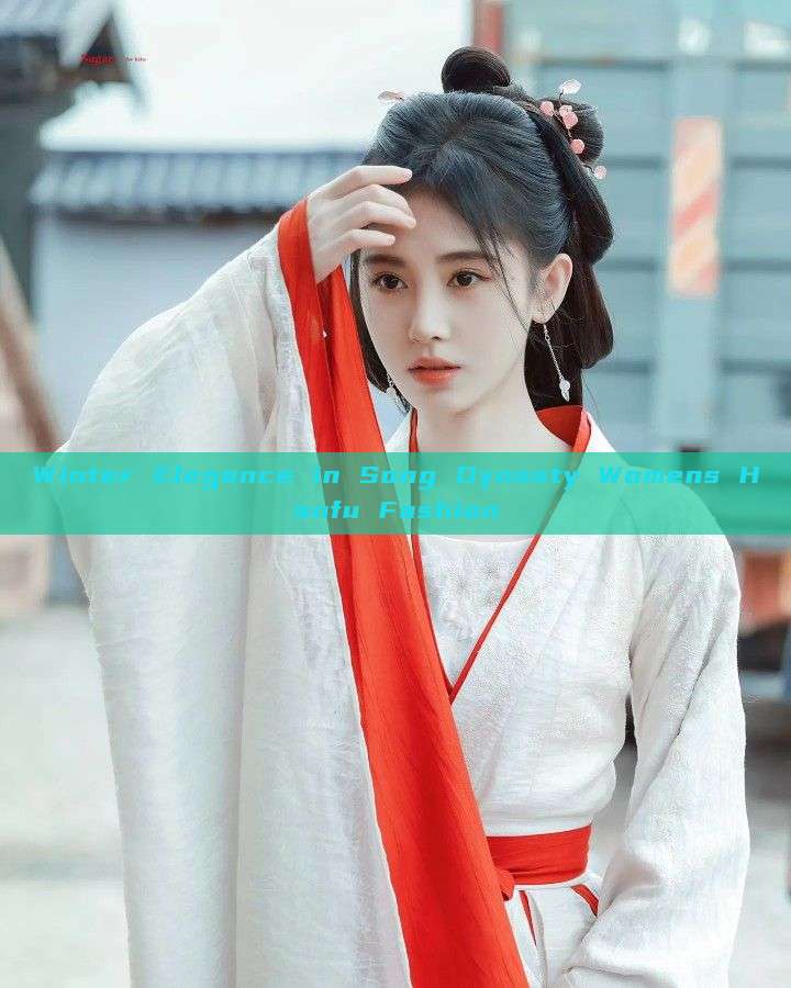 Winter Elegance in Song Dynasty Womens Hanfu Fashion Winter Elegance in Song Dynasty Womens Hanfu Fashion