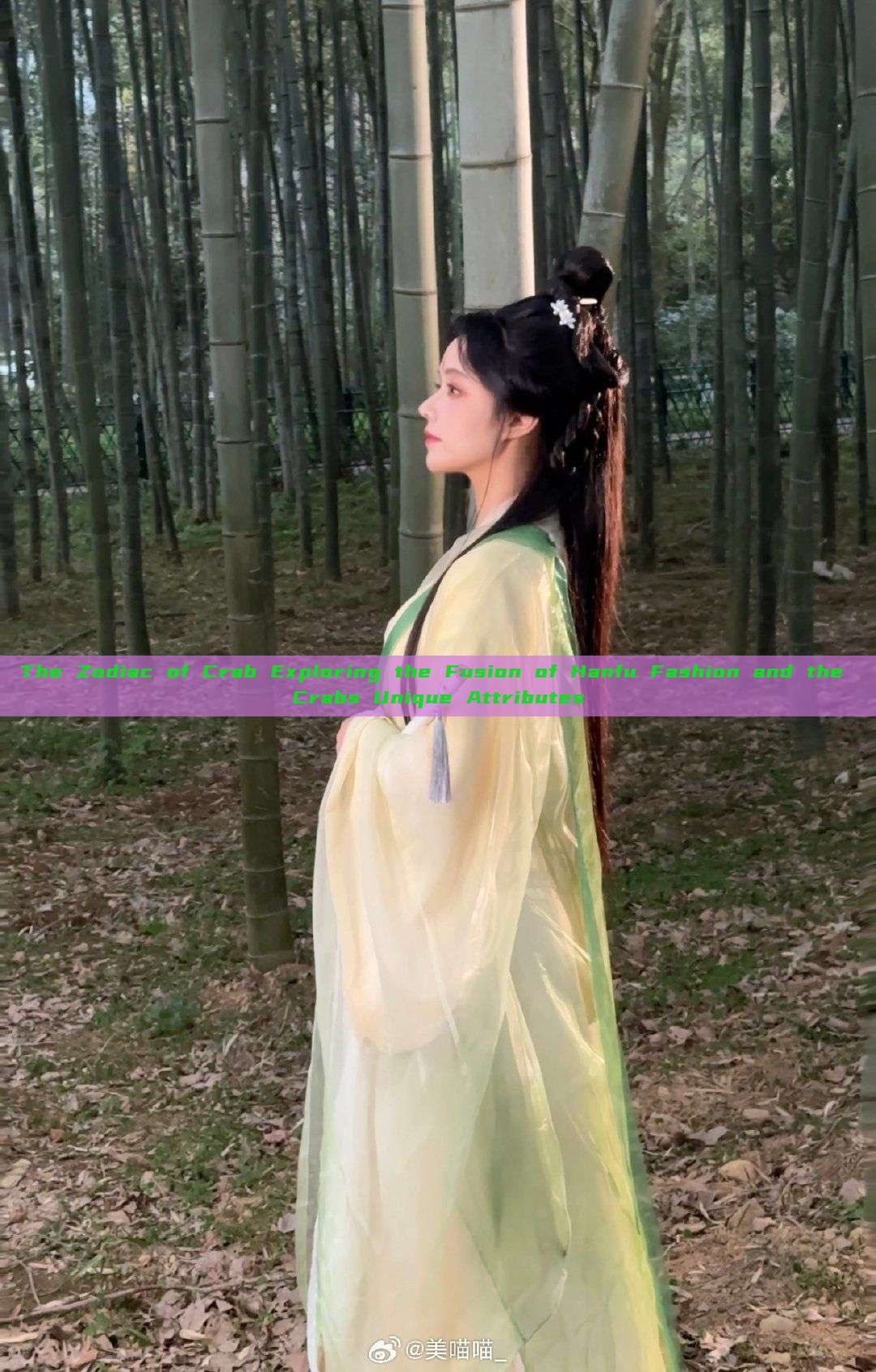 The Zodiac of Crab Exploring the Fusion of Hanfu Fashion and the Crabs Unique Attributes The Zodiac of Crab Exploring the Fusion of Hanfu Fashion and the Crabs Unique Attributes