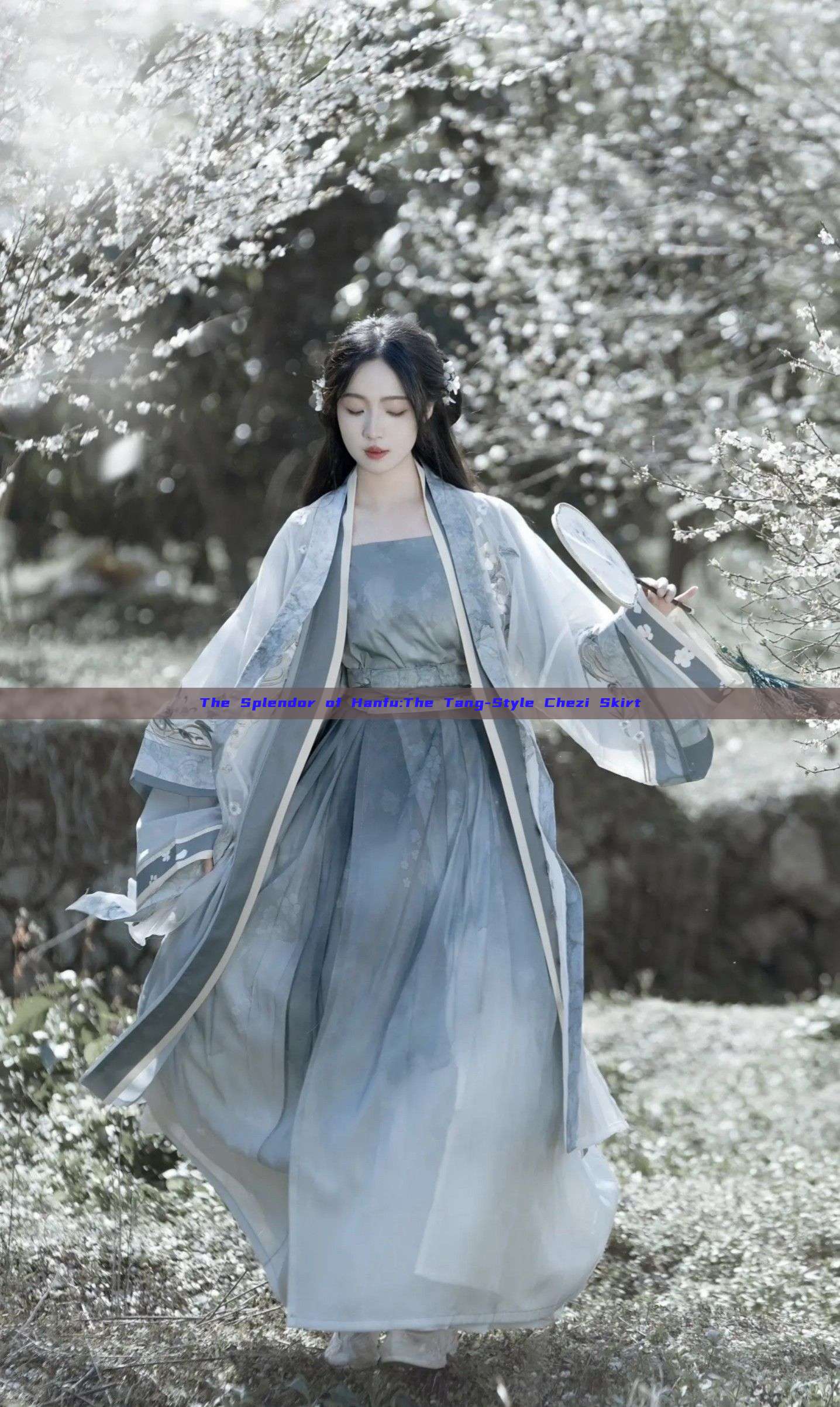 The Splendor of Hanfu:The Tang-Style Chezi Skirt