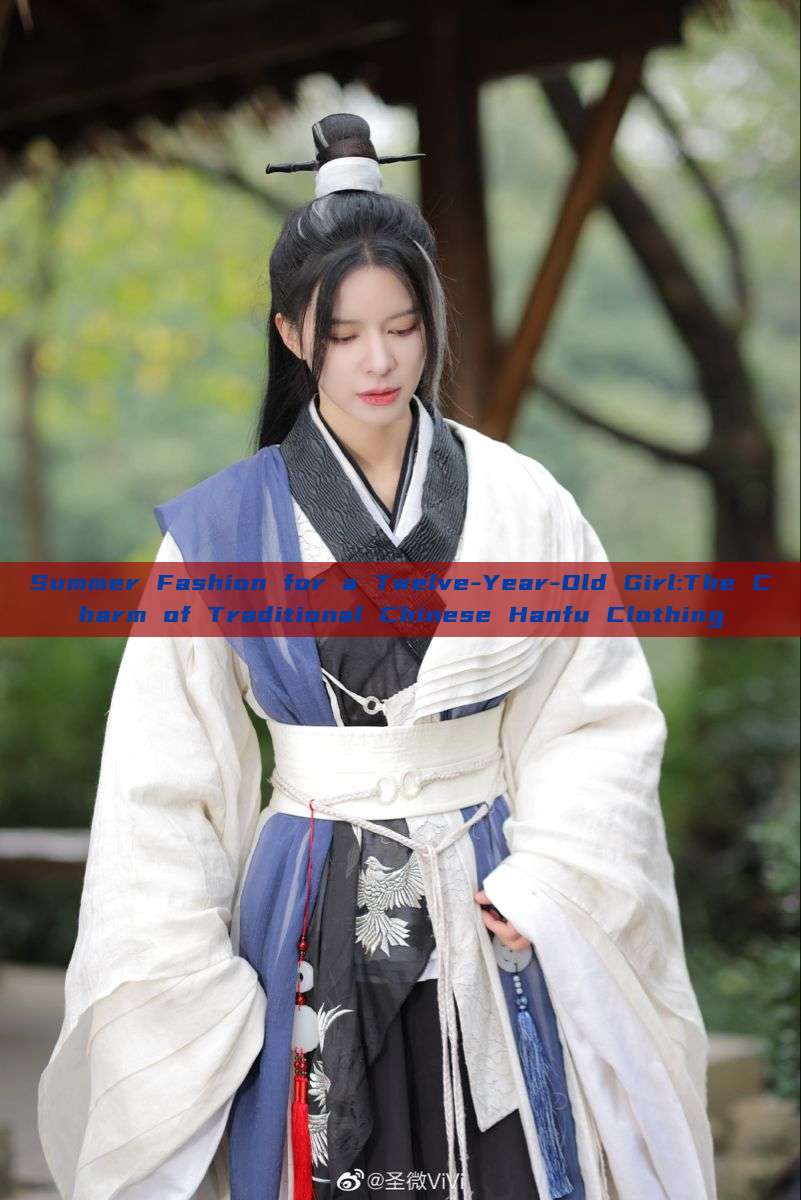 Summer Fashion for a Twelve-Year-Old Girl:The Charm of Traditional Chinese Hanfu Clothing Summer Fashion for a Twelve-Year-Old Girl:The Charm of Traditional Chinese Hanfu Clothing