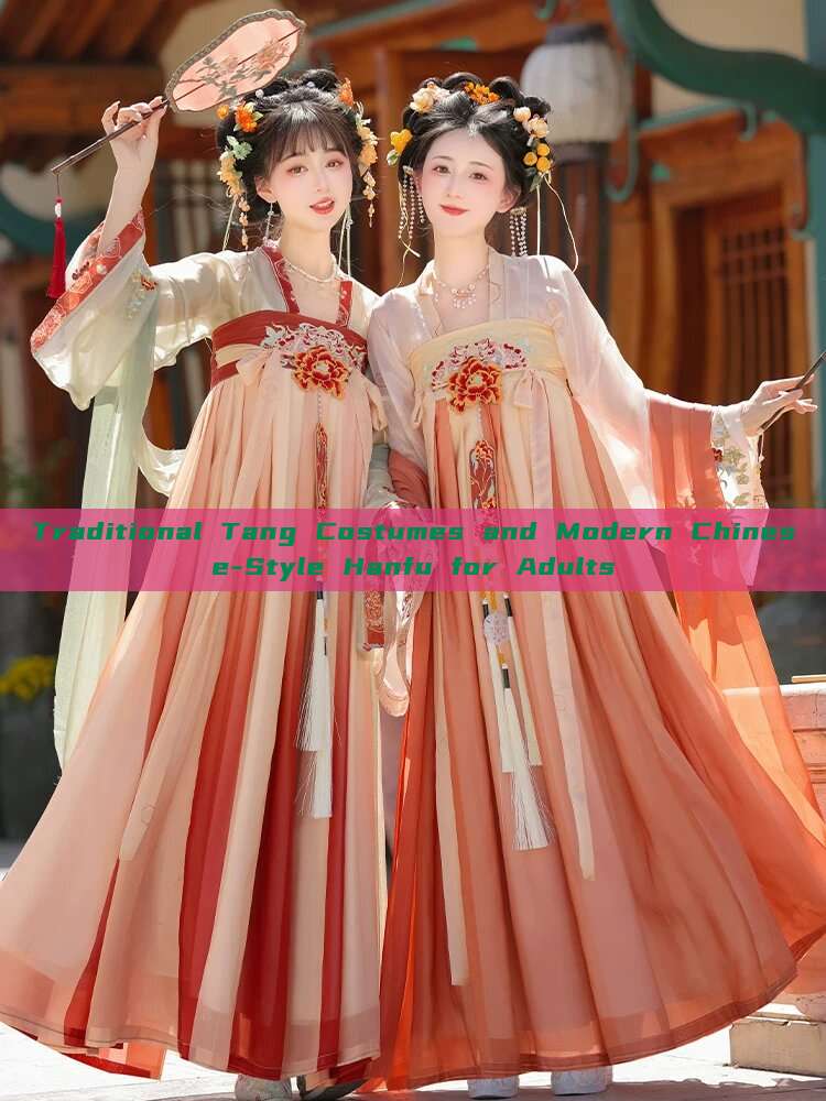 Traditional Tang Costumes and Modern Chinese-Style Hanfu for Adults Traditional Tang Costumes and Modern Chinese-Style Hanfu for Adults