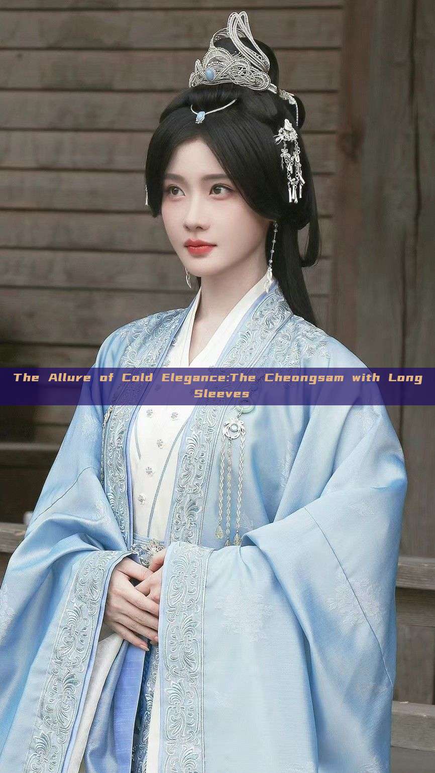 The Allure of Cold Elegance:The Cheongsam with Long Sleeves