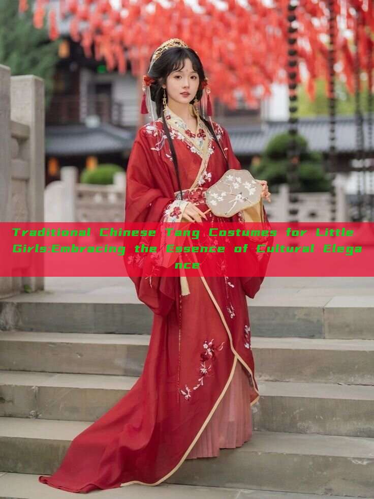 Traditional Chinese Tang Costumes for Little Girls:Embracing the Essence of Cultural Elegance Traditional Chinese Tang Costumes for Little Girls:Embracing the Essence of Cultural Elegance