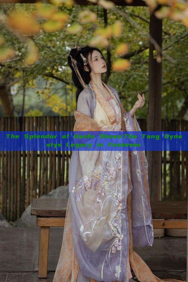 The Splendor of Hanfu Shoes:The Tang Dynastys Legacy in Footwear The Splendor of Hanfu Shoes:The Tang Dynastys Legacy in Footwear