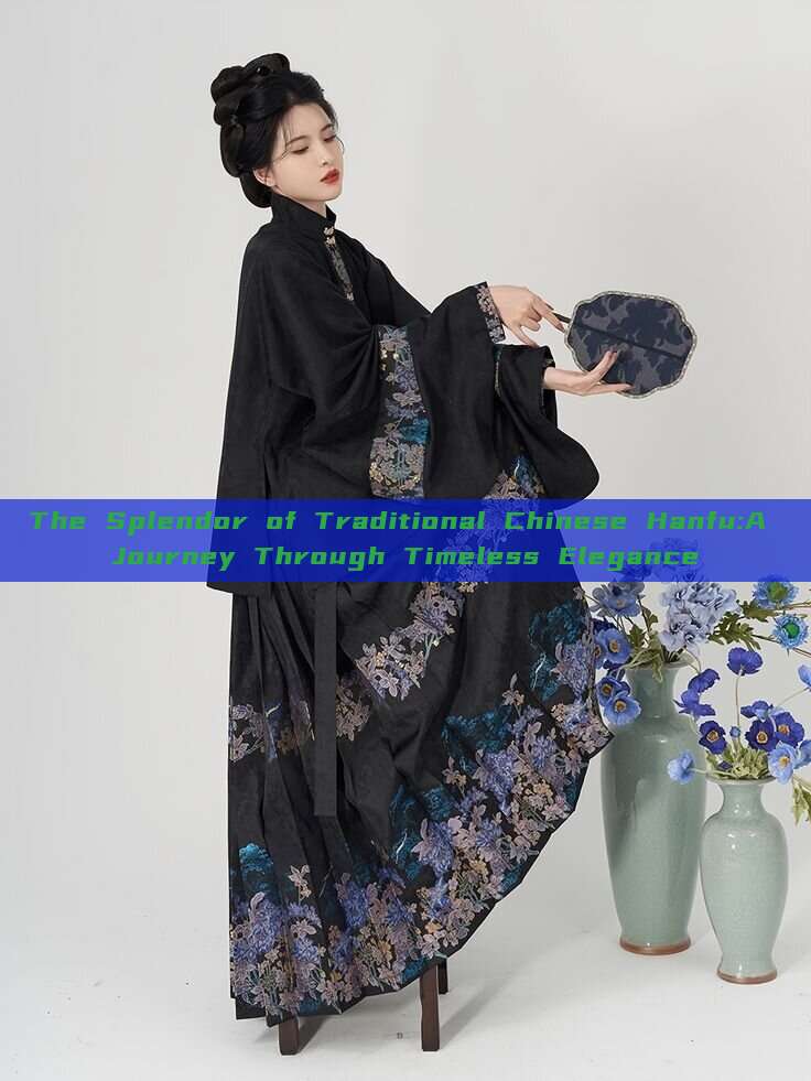 The Splendor of Traditional Chinese Hanfu:A Journey Through Timeless Elegance