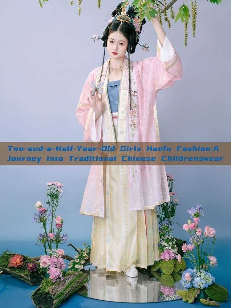Two-and-a-Half-Year-Old Girls Hanfu Fashion:A Journey into Traditional Chinese Childrenswear