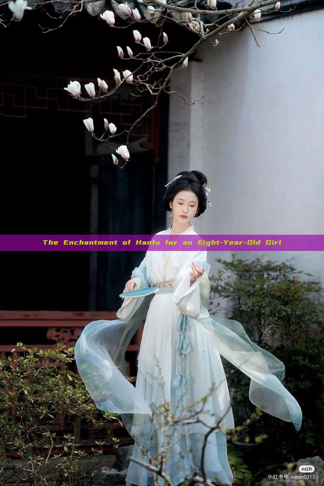 The Enchantment of Hanfu for an Eight-Year-Old Girl The Enchantment of Hanfu for an Eight-Year-Old Girl