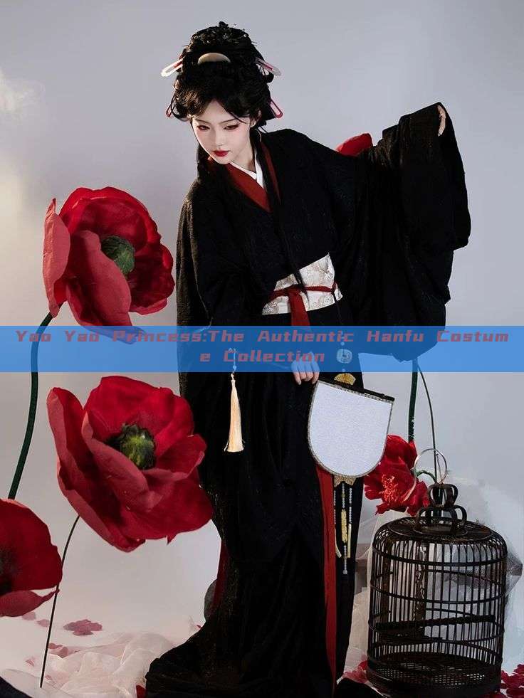 Yao Yao Princess:The Authentic Hanfu Costume Collection Yao Yao Princess:The Authentic Hanfu Costume Collection