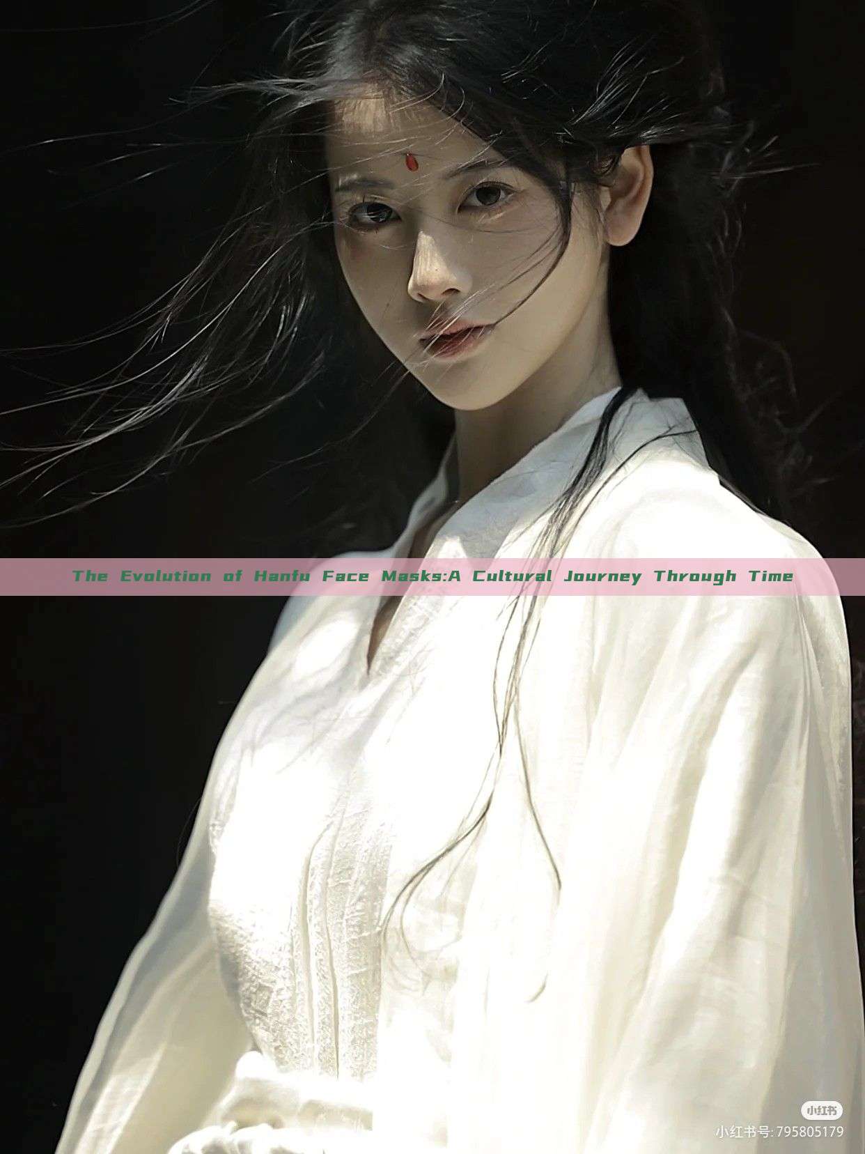 The Evolution of Hanfu Face Masks:A Cultural Journey Through Time The Evolution of Hanfu Face Masks:A Cultural Journey Through Time