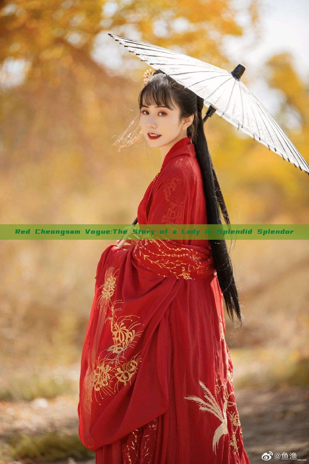 Red Cheongsam Vogue:The Story of a Lady in Splendid Splendor Red Cheongsam Vogue:The Story of a Lady in Splendid Splendor