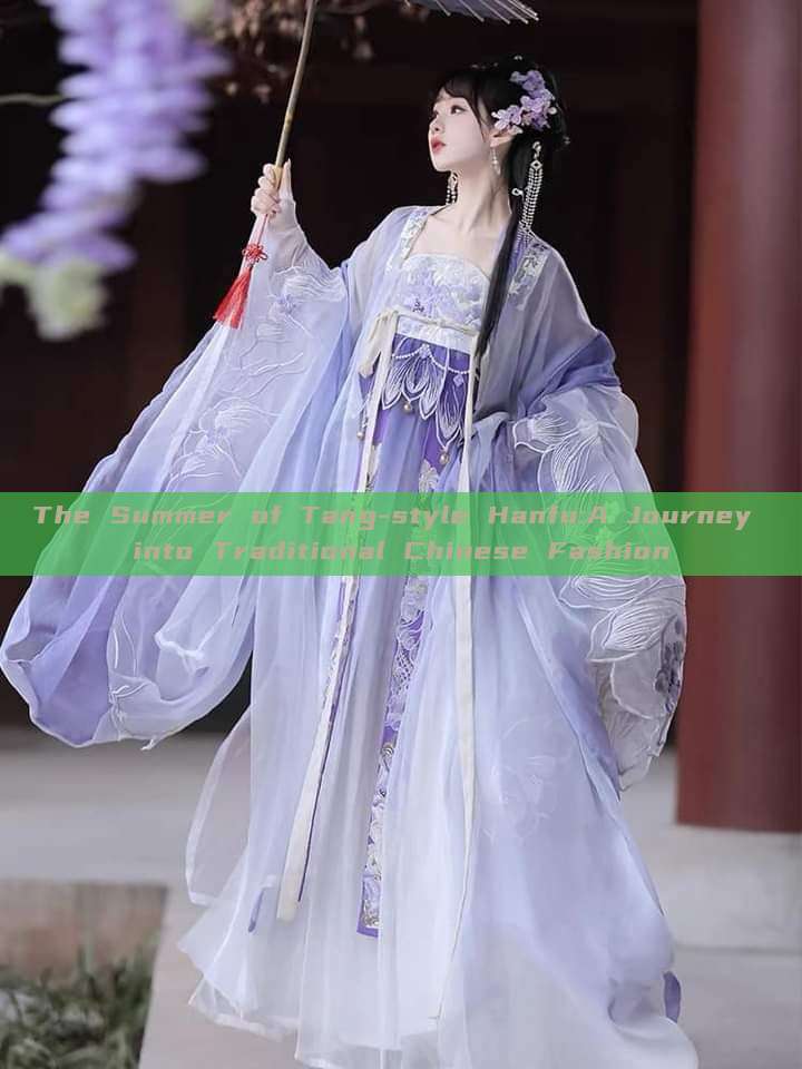 The Summer of Tang-style Hanfu:A Journey into Traditional Chinese Fashion