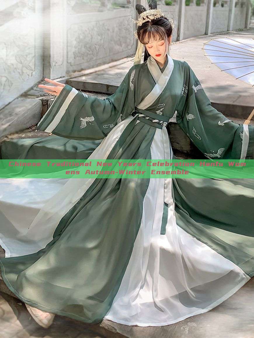 Chinese Traditional New Years Celebration Hanfu Womens Autumn-Winter Ensemble Chinese Traditional New Years Celebration Hanfu Womens Autumn-Winter Ensemble