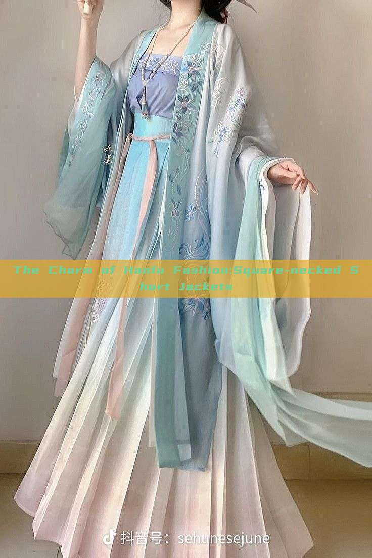 The Charm of Hanfu Fashion:Square-necked Short Jackets