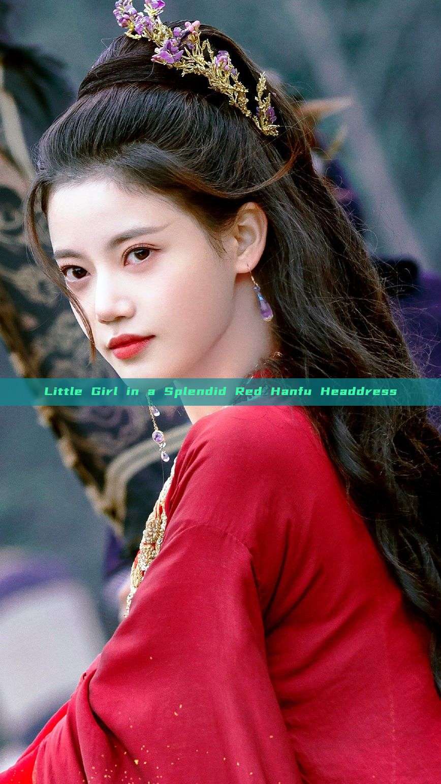 Little Girl in a Splendid Red Hanfu Headdress Little Girl in a Splendid Red Hanfu Headdress
